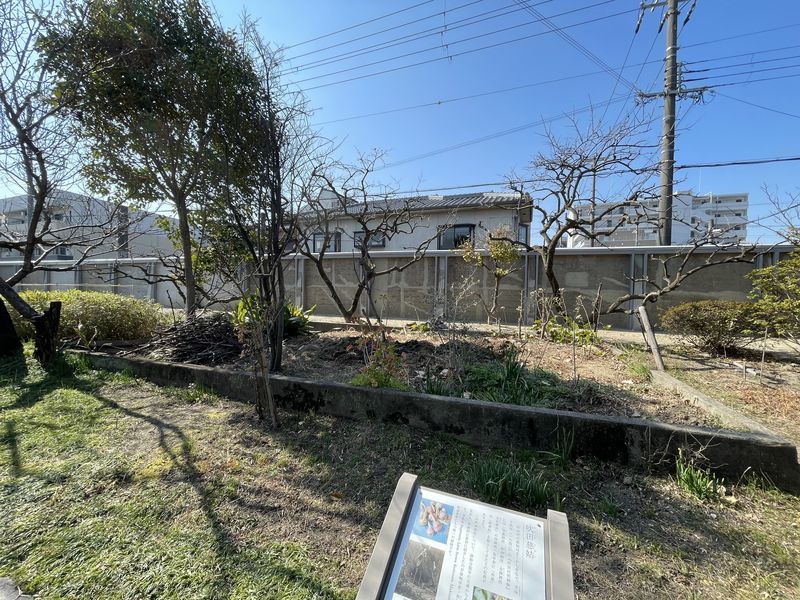 f:id:futon345:20220306151252j:plain