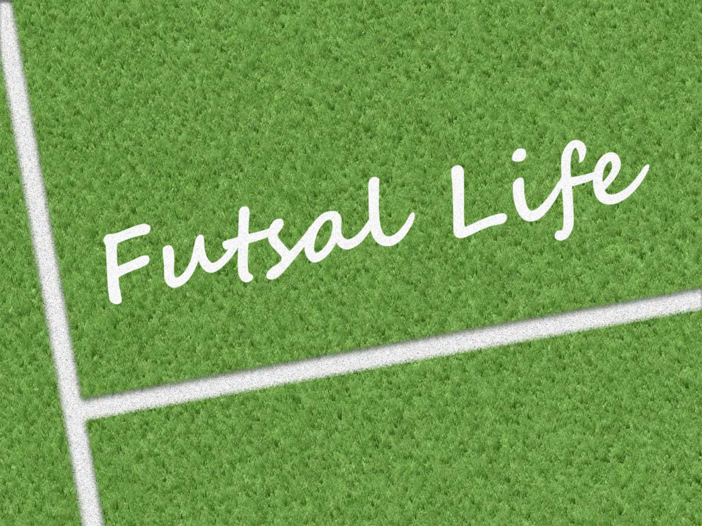 f:id:futsal718:20180203025414p:plain