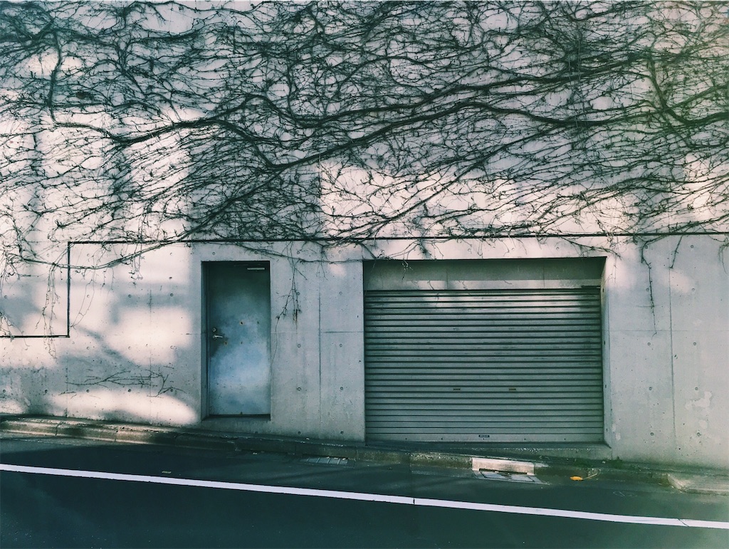 f:id:futura_C:20200123002606j:image