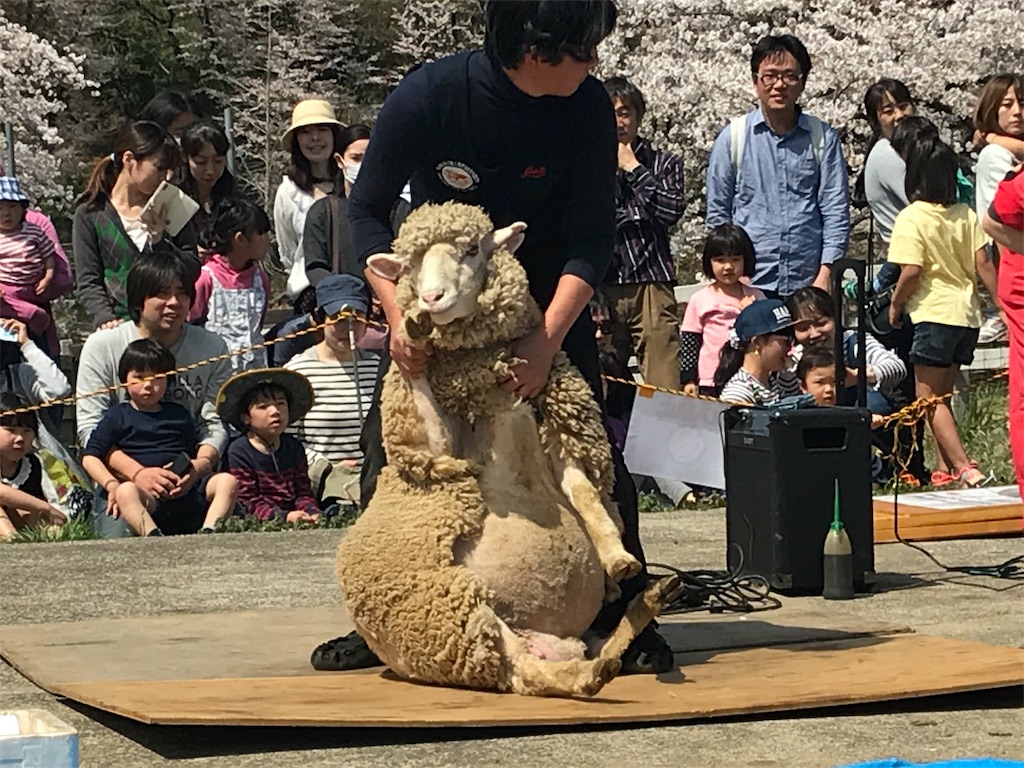 f:id:futuredesign15:20180402165941j:image f:id:futuredesign15:20180402165941j:image