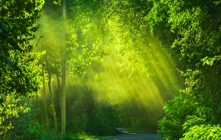 f:id:futuretrippers:20191003005419j:plain