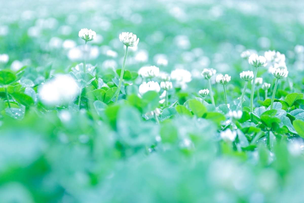 f:id:futuretrippers:20191004002456j:plain
