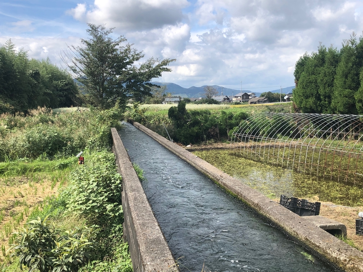 f:id:futuretrippers:20191008124502j:plain f:id:futuretrippers:20191008124502j:plain