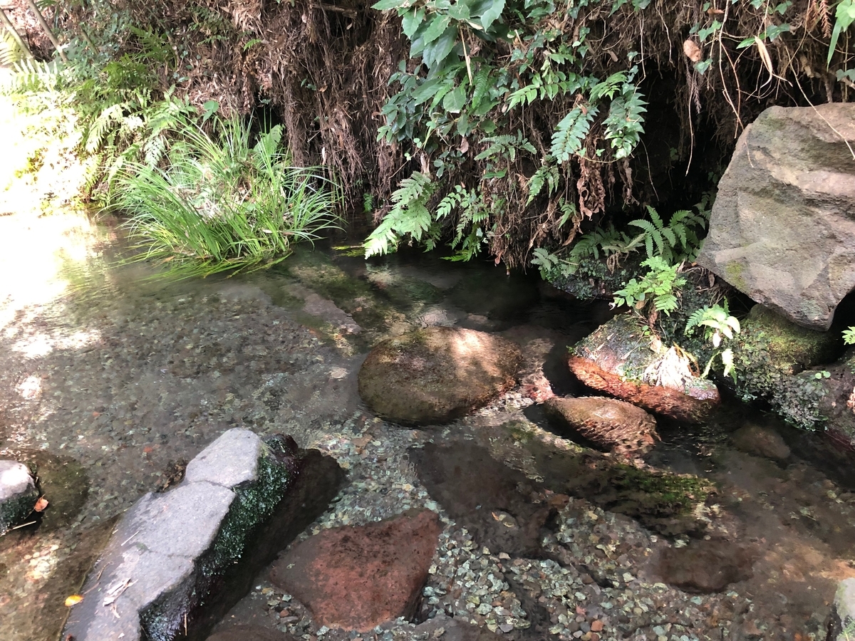 f:id:futuretrippers:20191008144102j:plain f:id:futuretrippers:20191008144102j:plain
