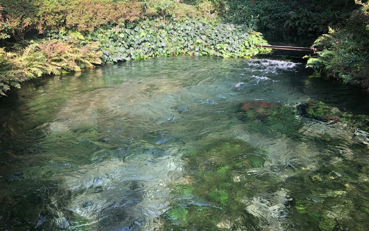 f:id:futuretrippers:20191014150411j:plain f:id:futuretrippers:20191014150411j:plain