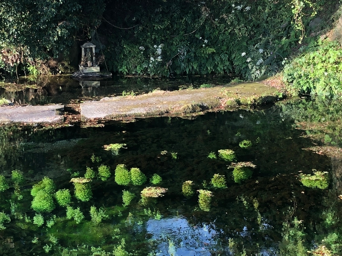 f:id:futuretrippers:20191014160454j:plain f:id:futuretrippers:20191014160454j:plain