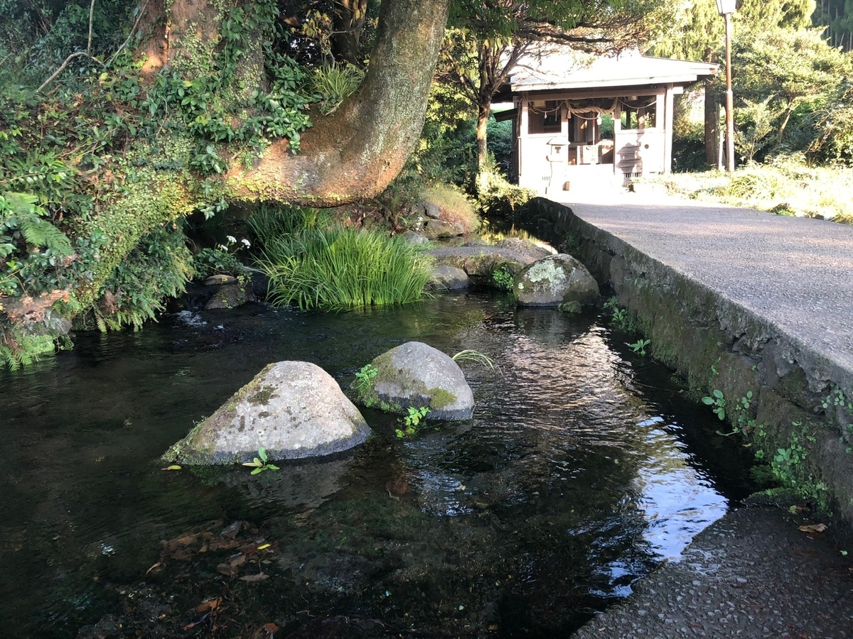 f:id:futuretrippers:20191014162033j:plain f:id:futuretrippers:20191014162033j:plain