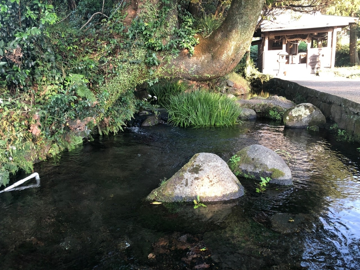 f:id:futuretrippers:20191014162342j:plain f:id:futuretrippers:20191014162342j:plain