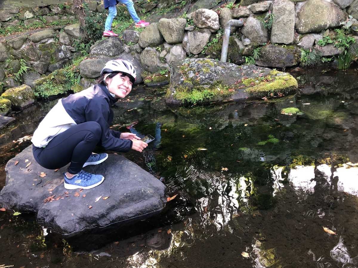 f:id:futuretrippers:20191022102130j:plain f:id:futuretrippers:20191022102130j:plain
