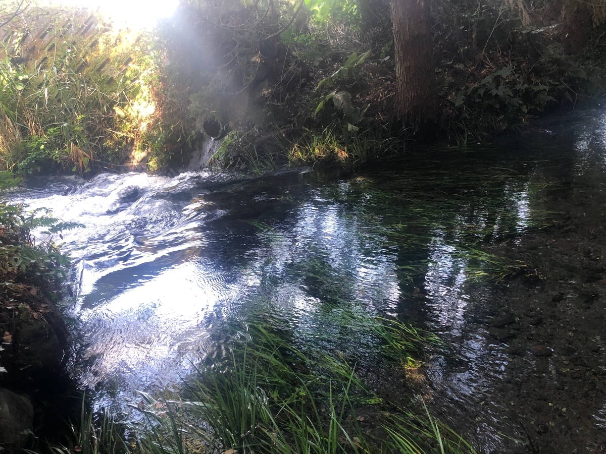 f:id:futuretrippers:20191022110532j:plain f:id:futuretrippers:20191022110532j:plain