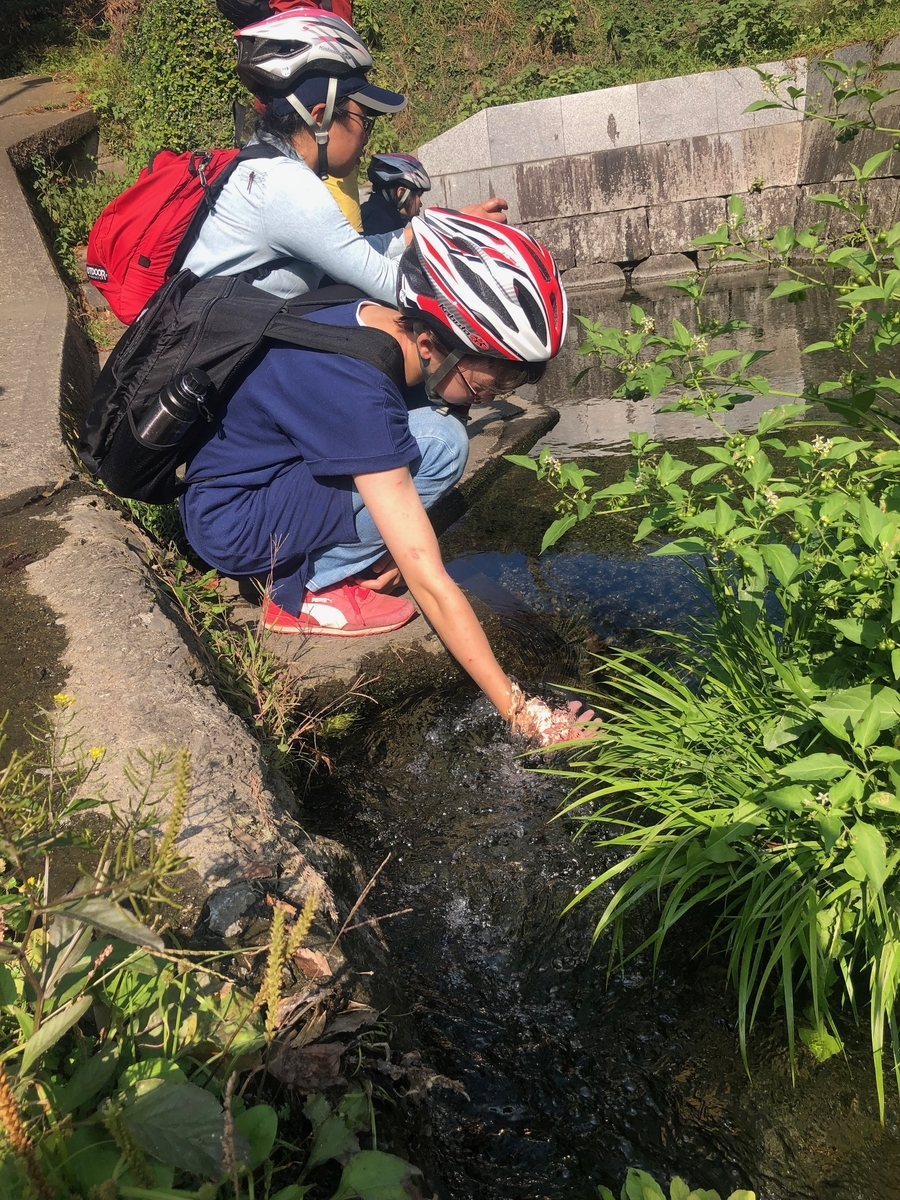 f:id:futuretrippers:20191022133149j:plain f:id:futuretrippers:20191022133149j:plain