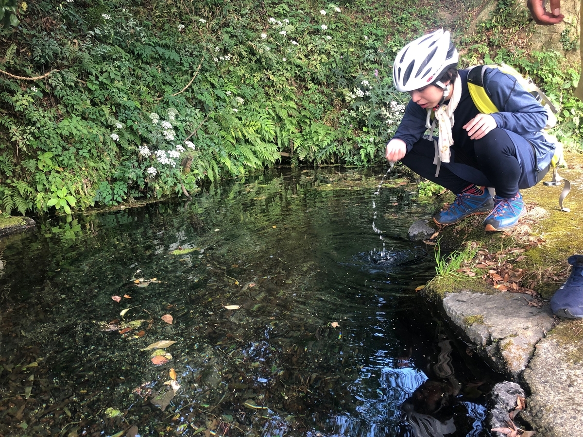 f:id:futuretrippers:20191022134508j:plain f:id:futuretrippers:20191022134508j:plain