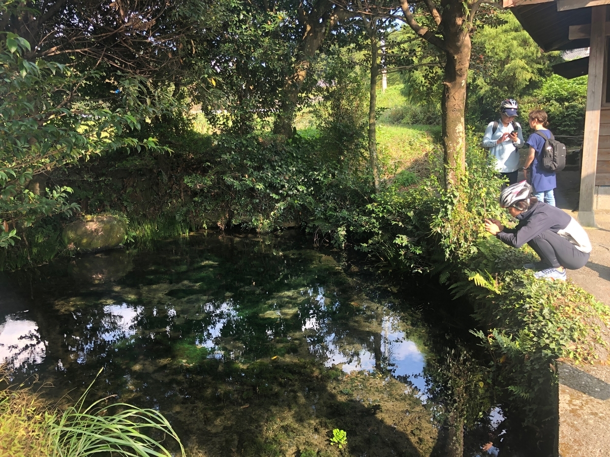 f:id:futuretrippers:20191022142240j:plain f:id:futuretrippers:20191022142240j:plain