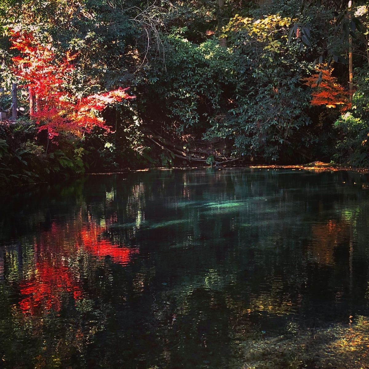 f:id:futuretrippers:20191127015313j:plain f:id:futuretrippers:20191127015313j:plain