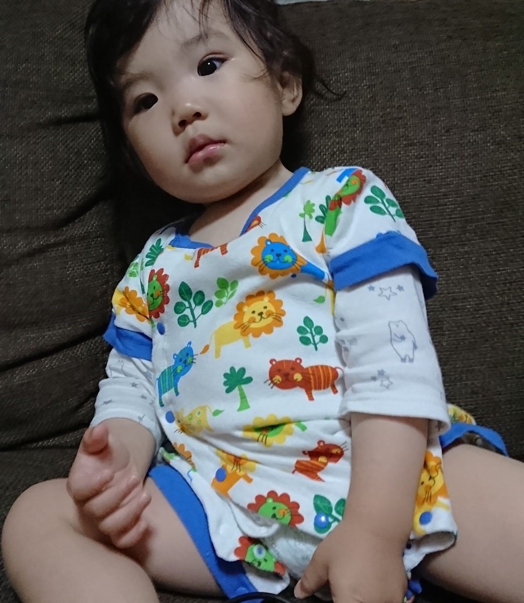 f:id:fuukunpapa:20200517181509j:plain