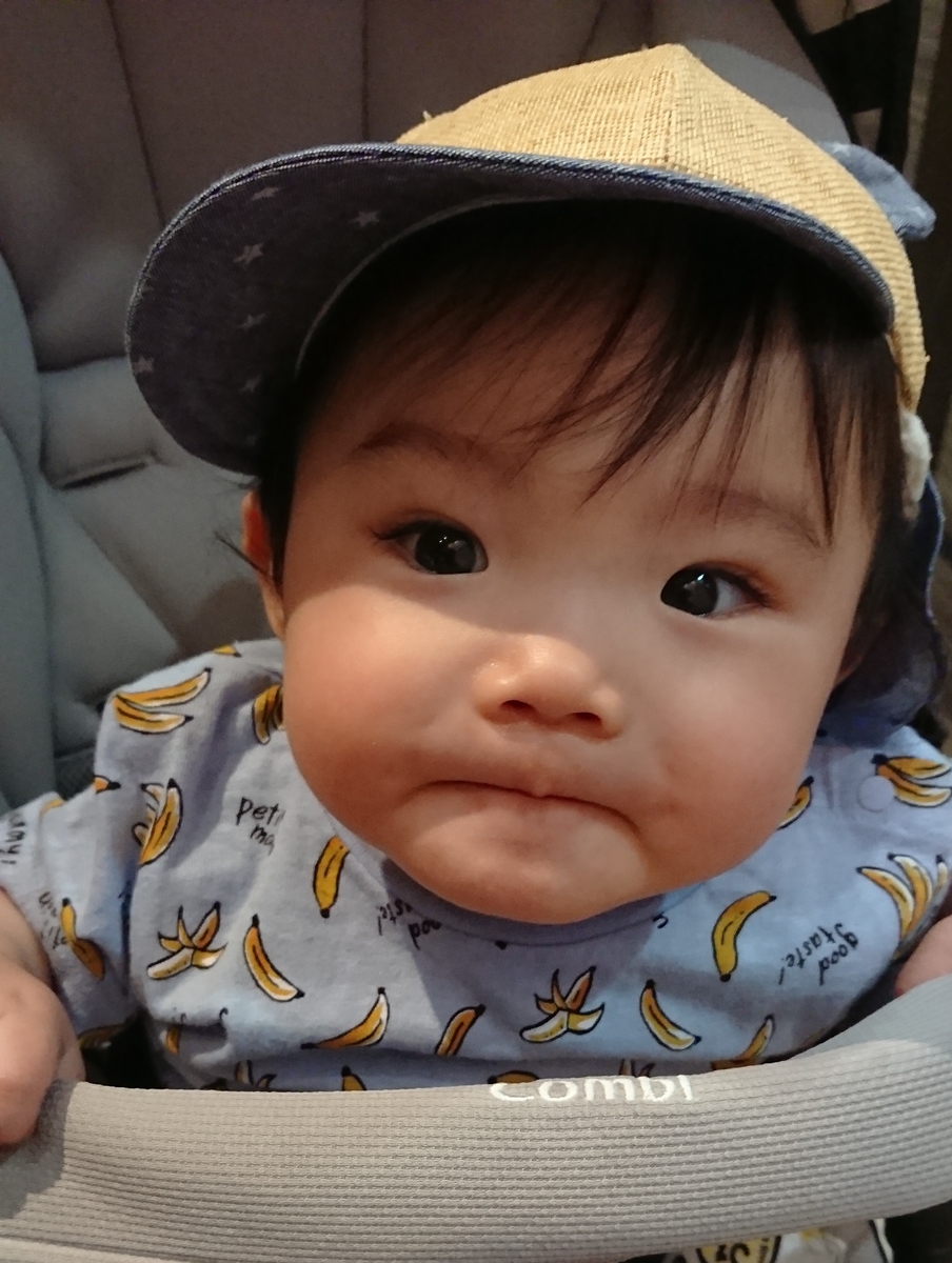 f:id:fuukunpapa:20200517185034j:plain