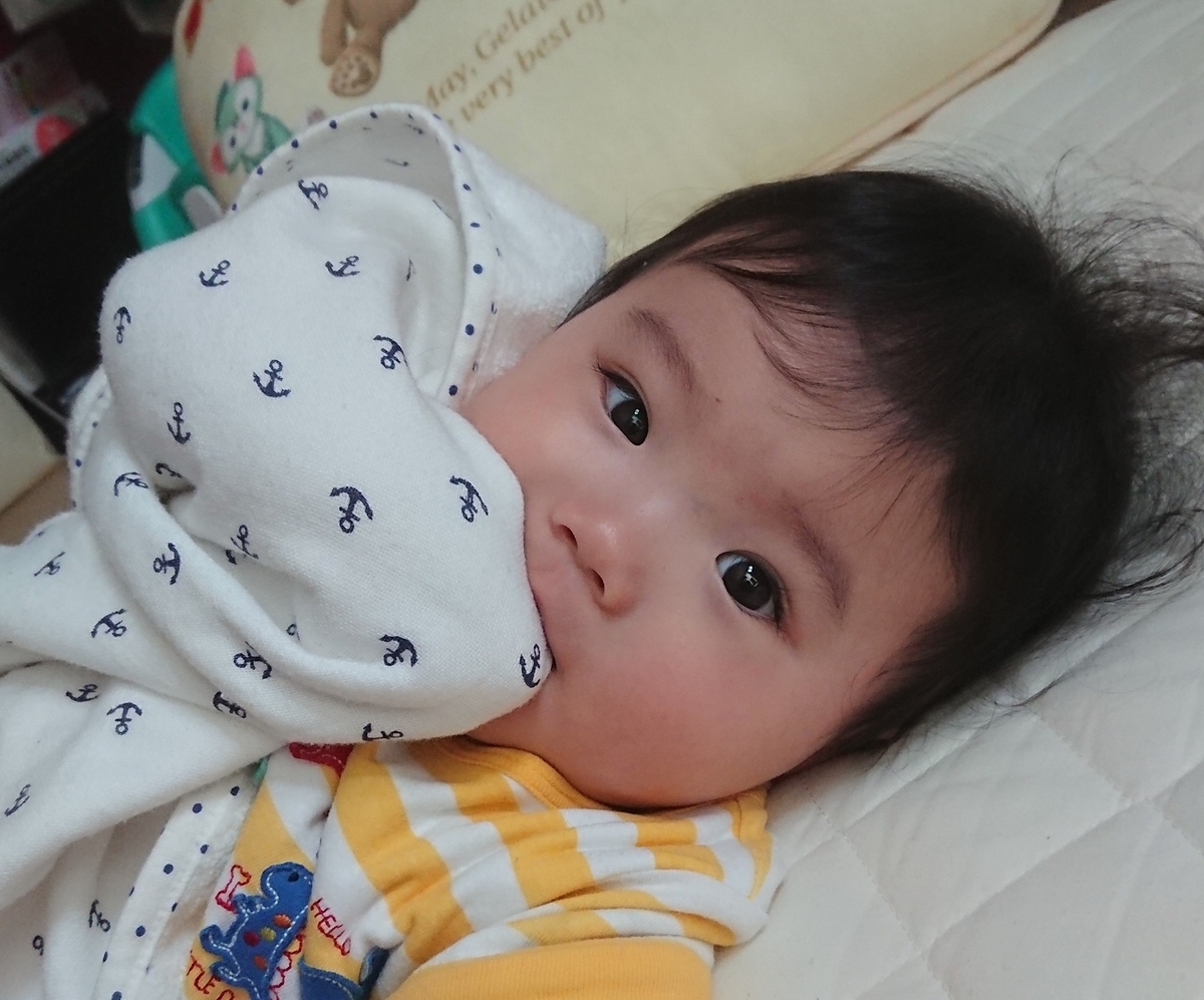 f:id:fuukunpapa:20200521001501j:plain