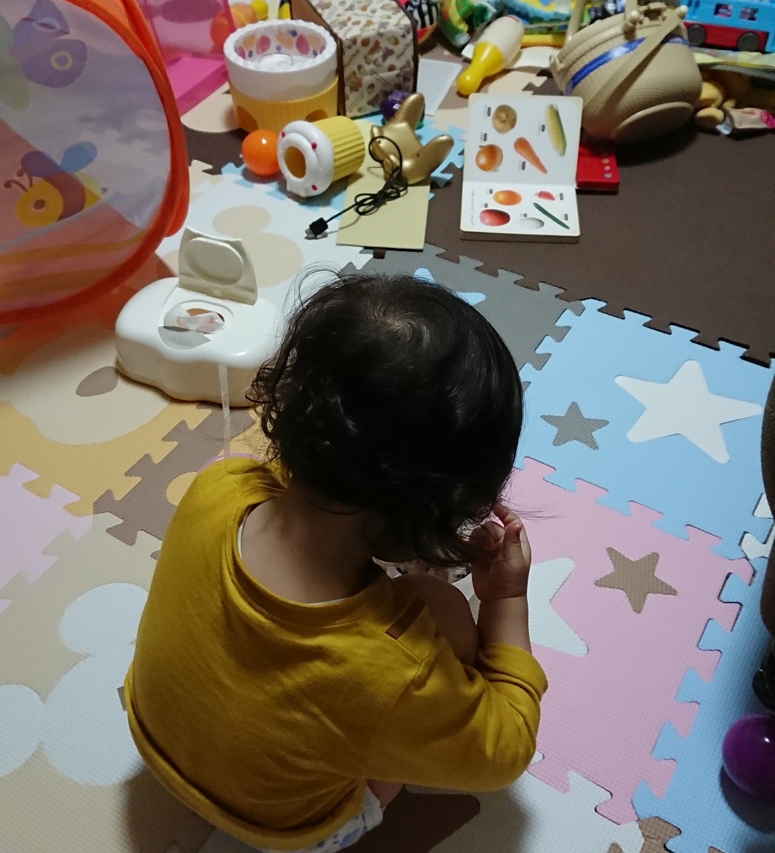 f:id:fuukunpapa:20200521210700j:plain