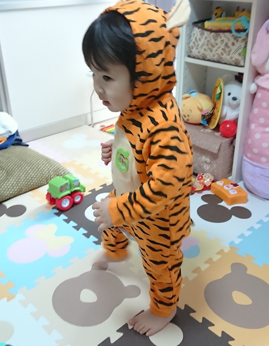 f:id:fuukunpapa:20200530000145j:plain