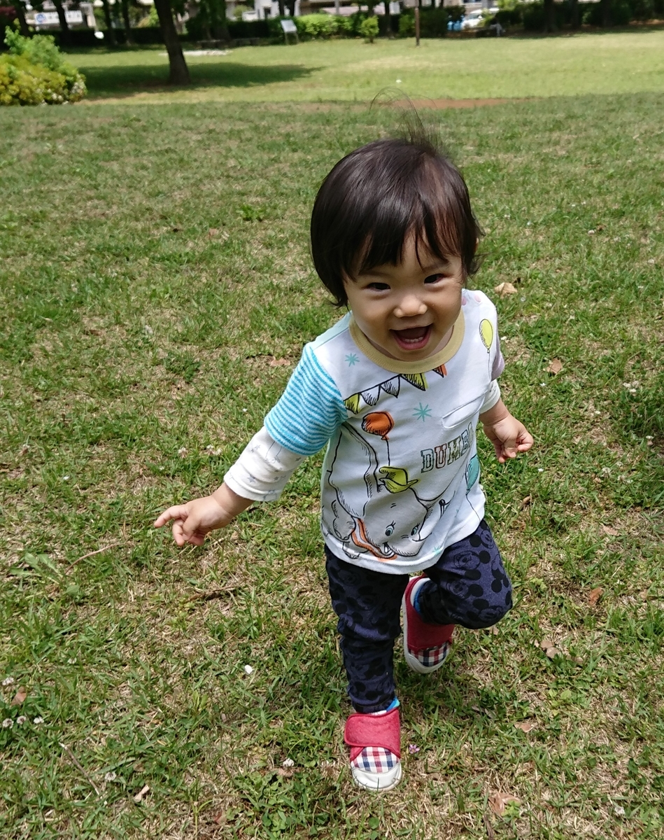 f:id:fuukunpapa:20200620223916j:plain