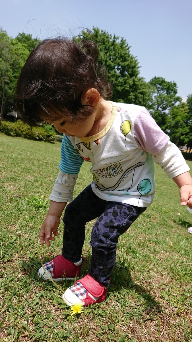 f:id:fuukunpapa:20200620224040j:plain