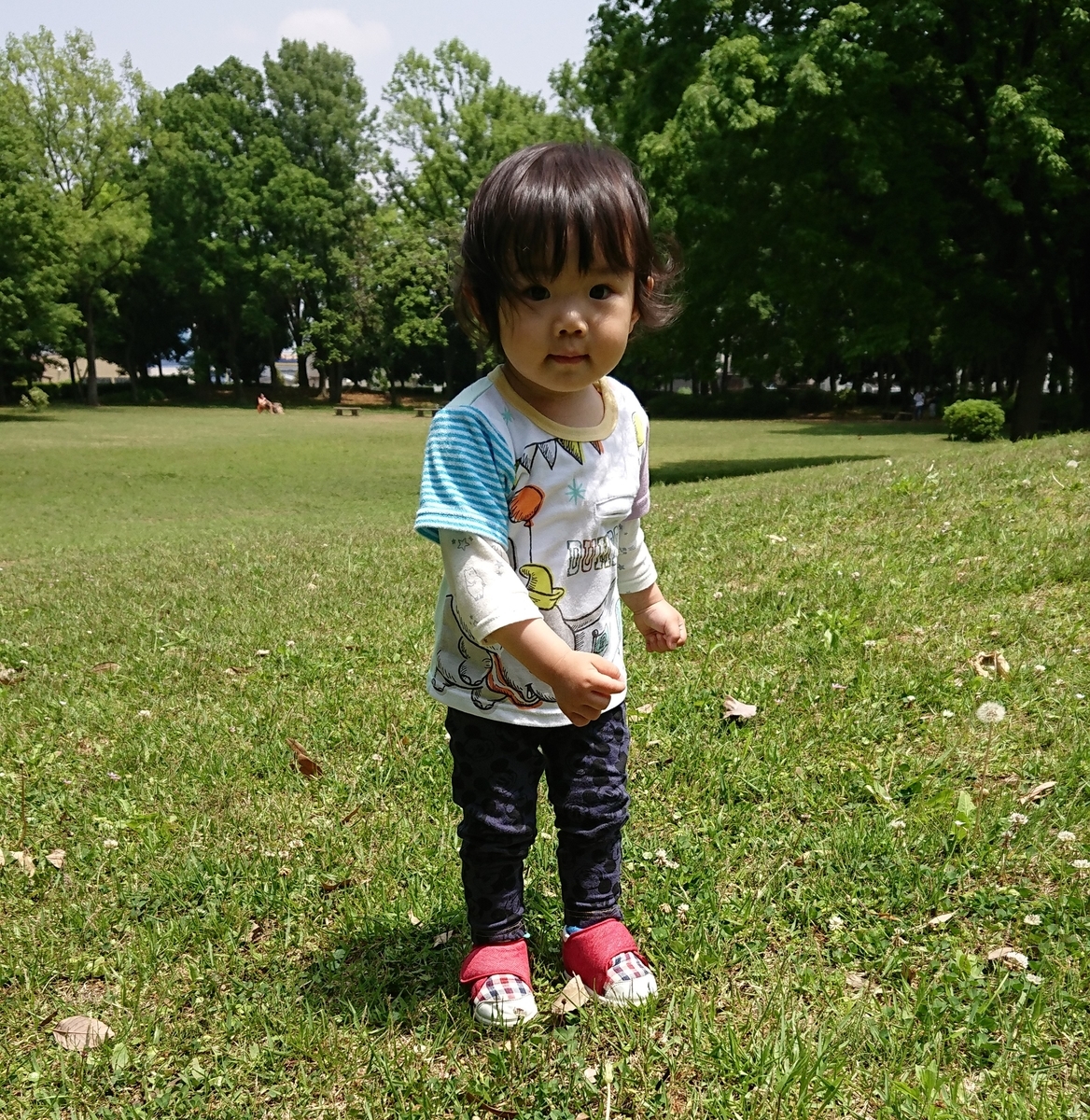 f:id:fuukunpapa:20200620224134j:plain