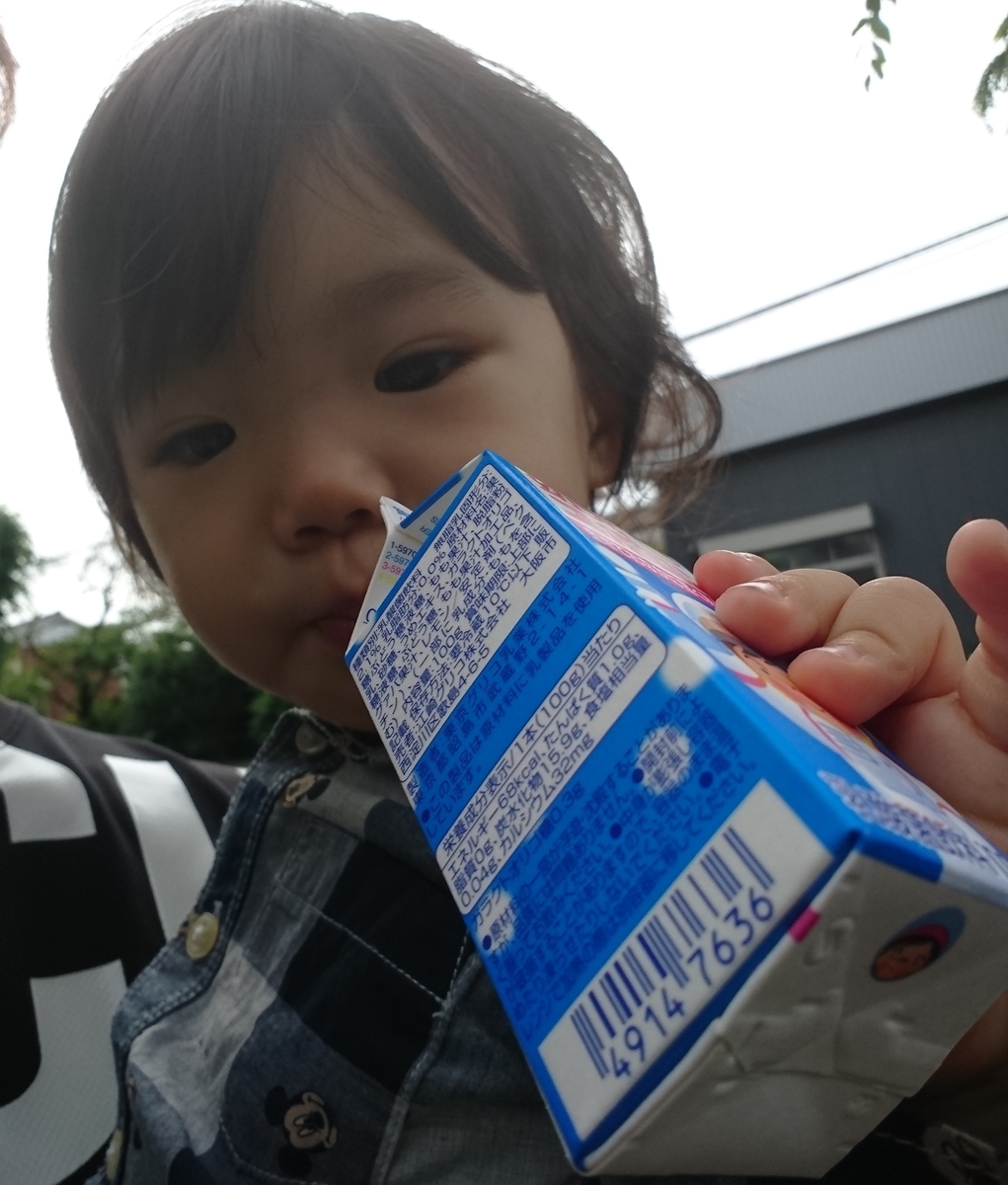 f:id:fuukunpapa:20200625225757j:plain