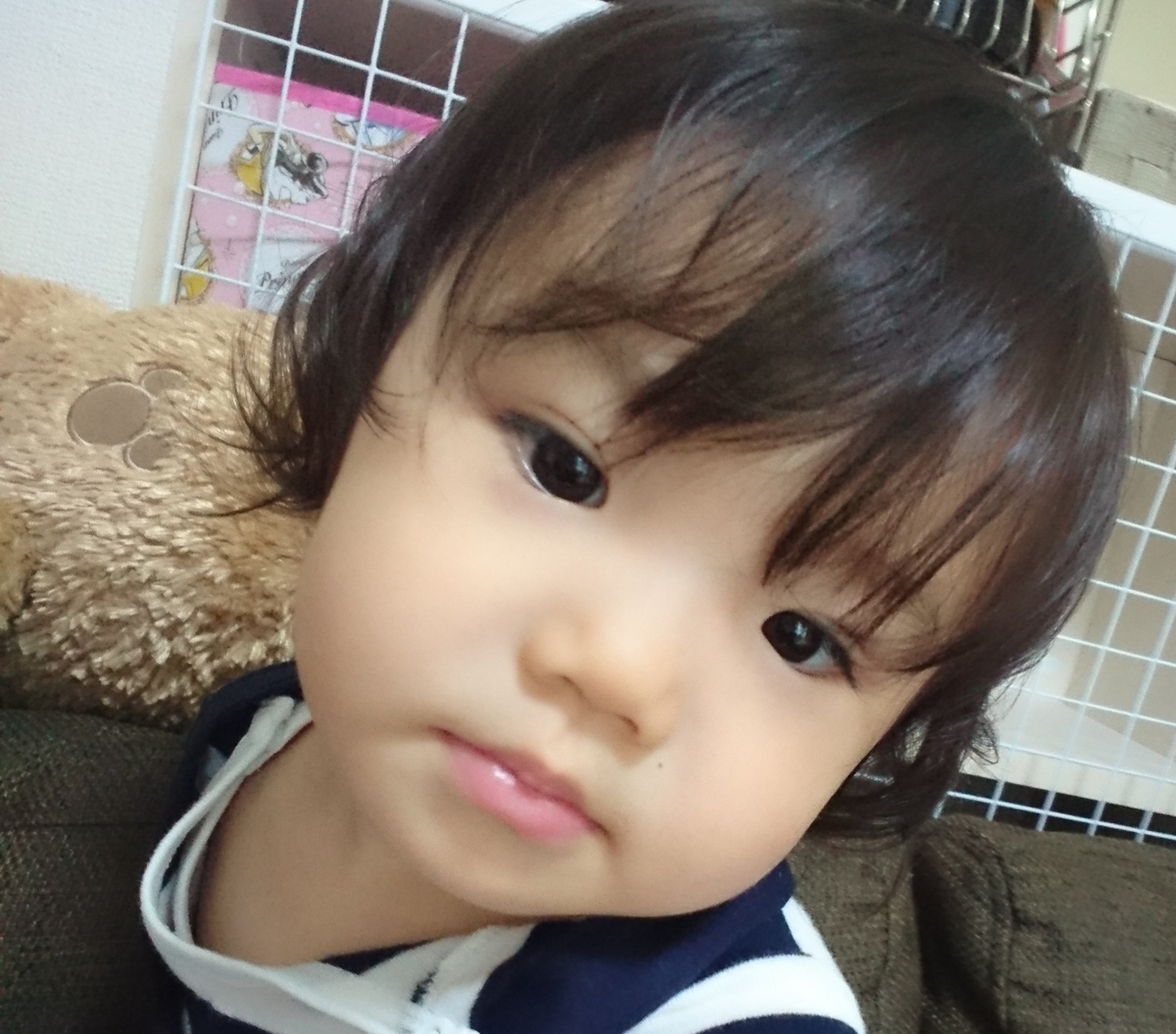 f:id:fuukunpapa:20200702230634j:plain