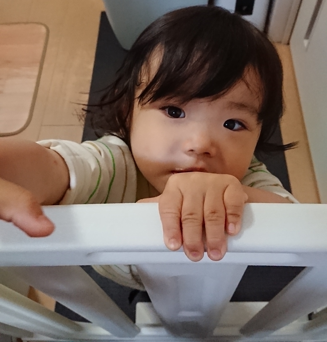 f:id:fuukunpapa:20200718213734j:plain