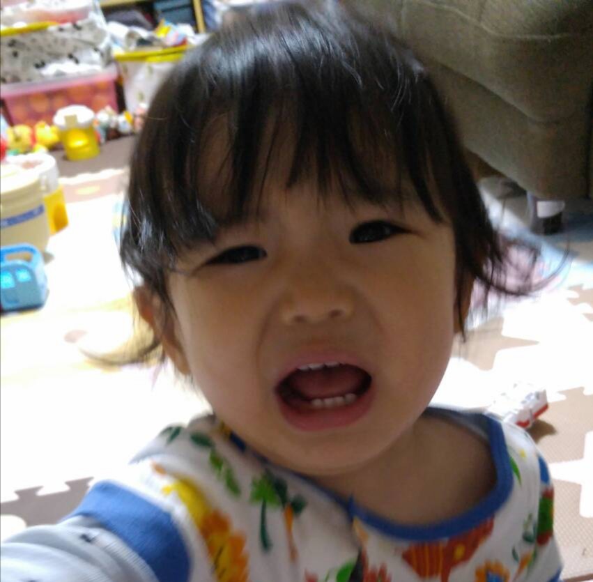 f:id:fuukunpapa:20200726220833j:plain