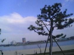 f:id:fuune:20090405000215j:image