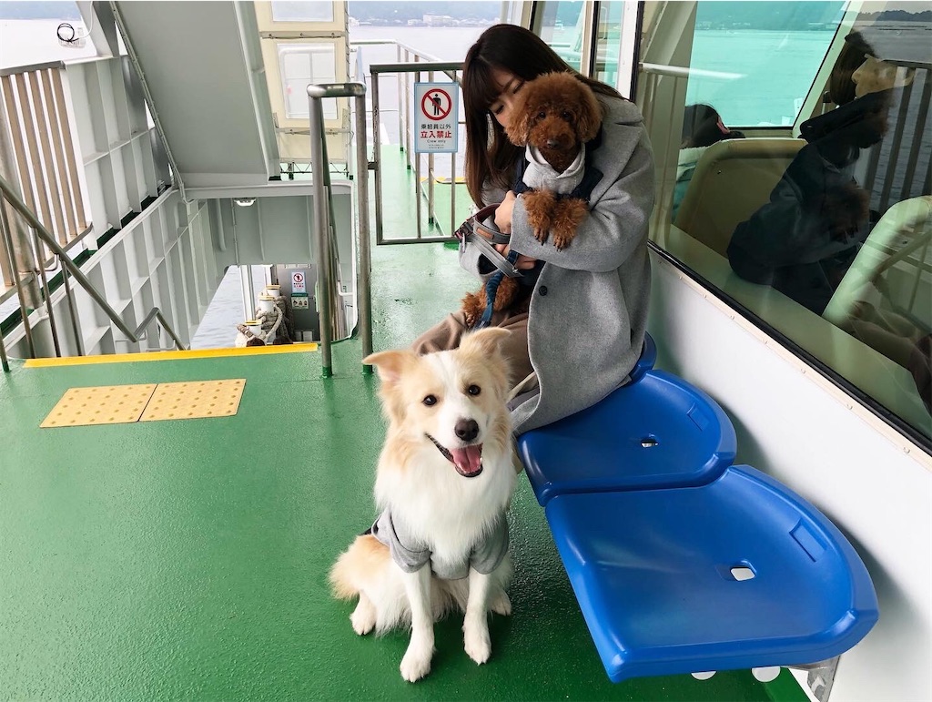 f:id:fuuraitenki:20191231035443j:image