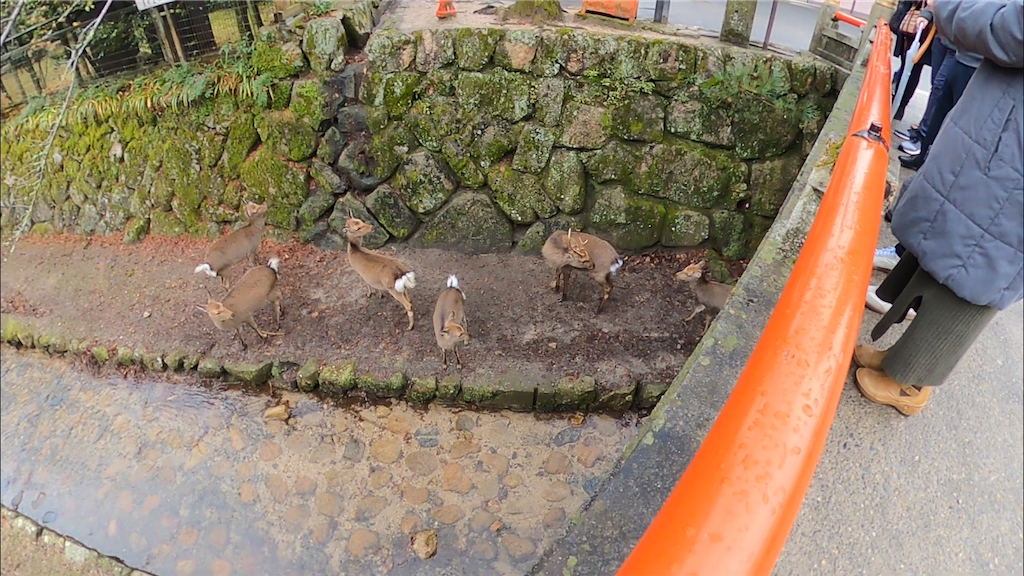 f:id:fuuraitenki:20191231035531p:image