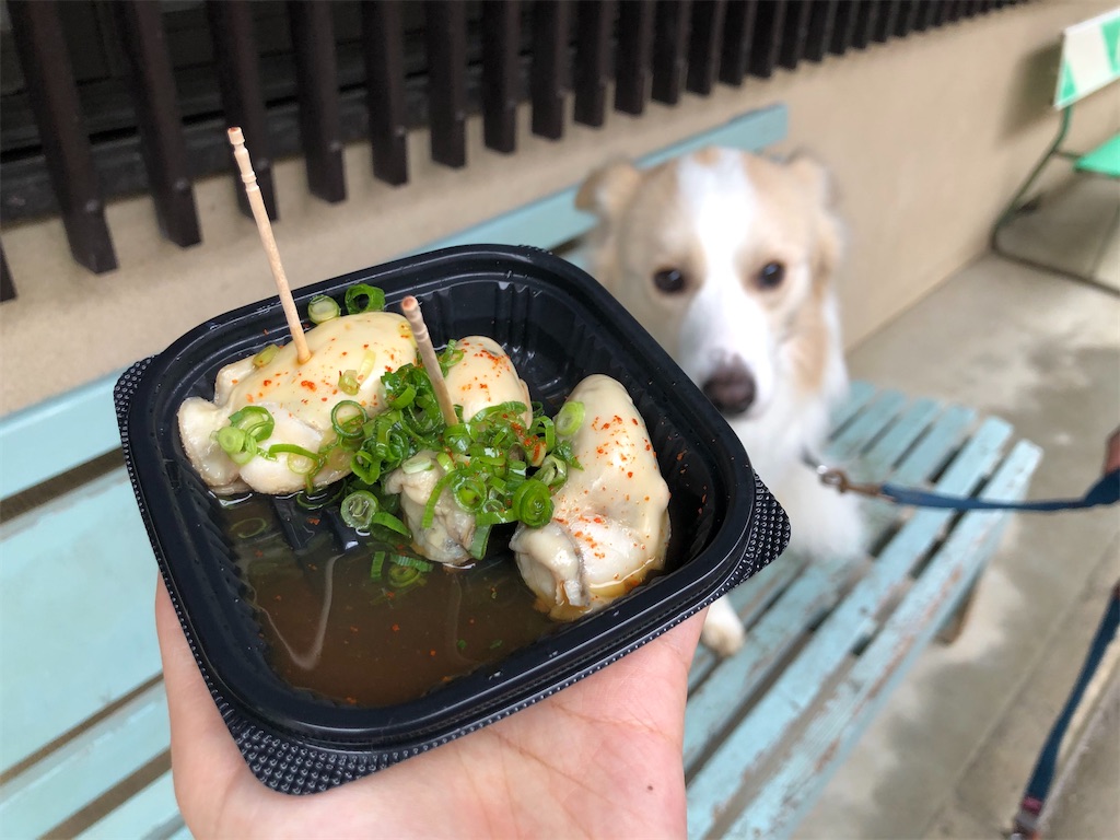 f:id:fuuraitenki:20191231035558j:image