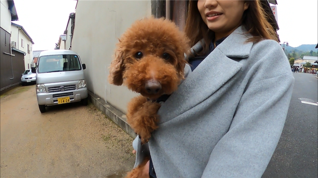 f:id:fuuraitenki:20191231035742p:image