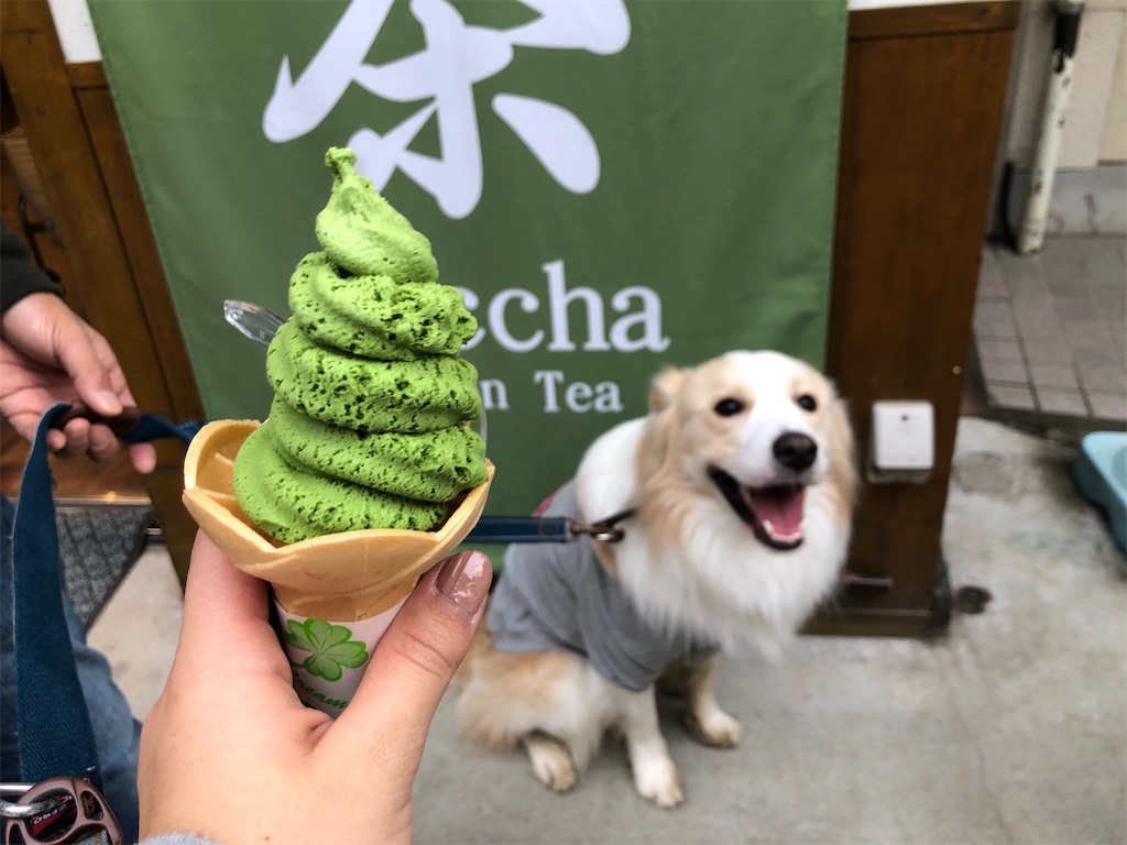 f:id:fuuraitenki:20191231035831j:image