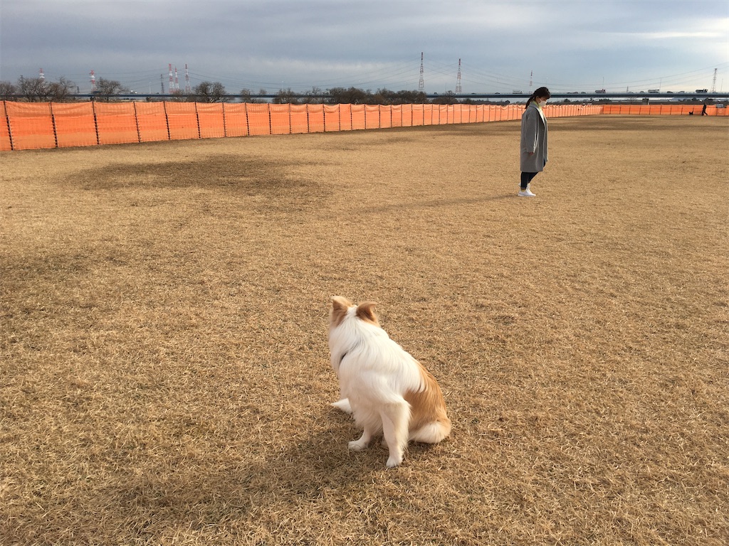 f:id:fuuraitenki:20200116190005j:image