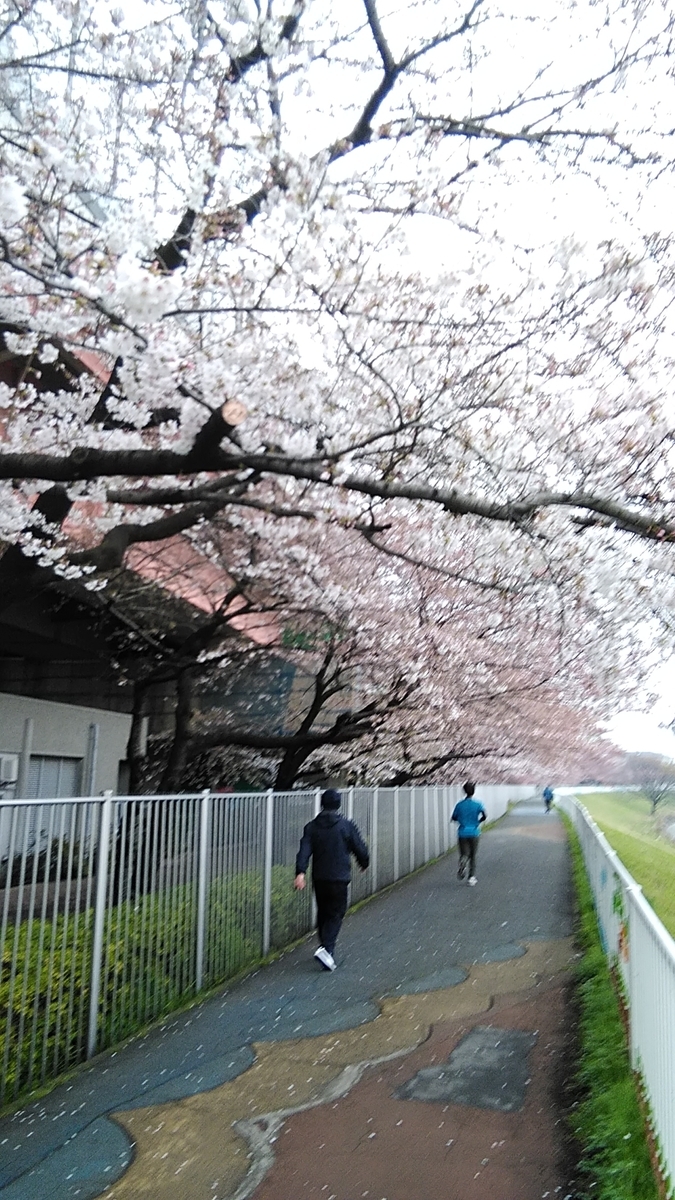 f:id:fuuta09neko:20190331200706j:plain