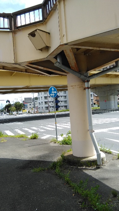 f:id:fuuta09neko:20190909140514j:plain f:id:fuuta09neko:20190909140514j:plain