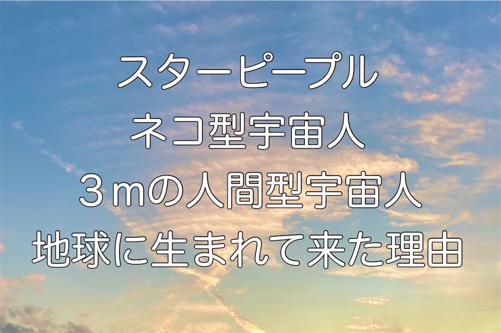 f:id:fuuukuuu:20191114154432j:image f:id:fuuukuuu:20191114154432j:image