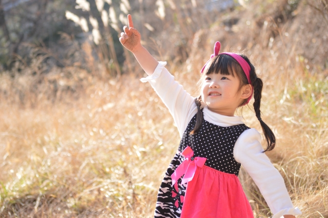 f:id:fuwa2730:20160917004614j:plain