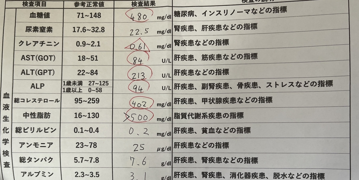 くぅくぅの血液検査結果の一部