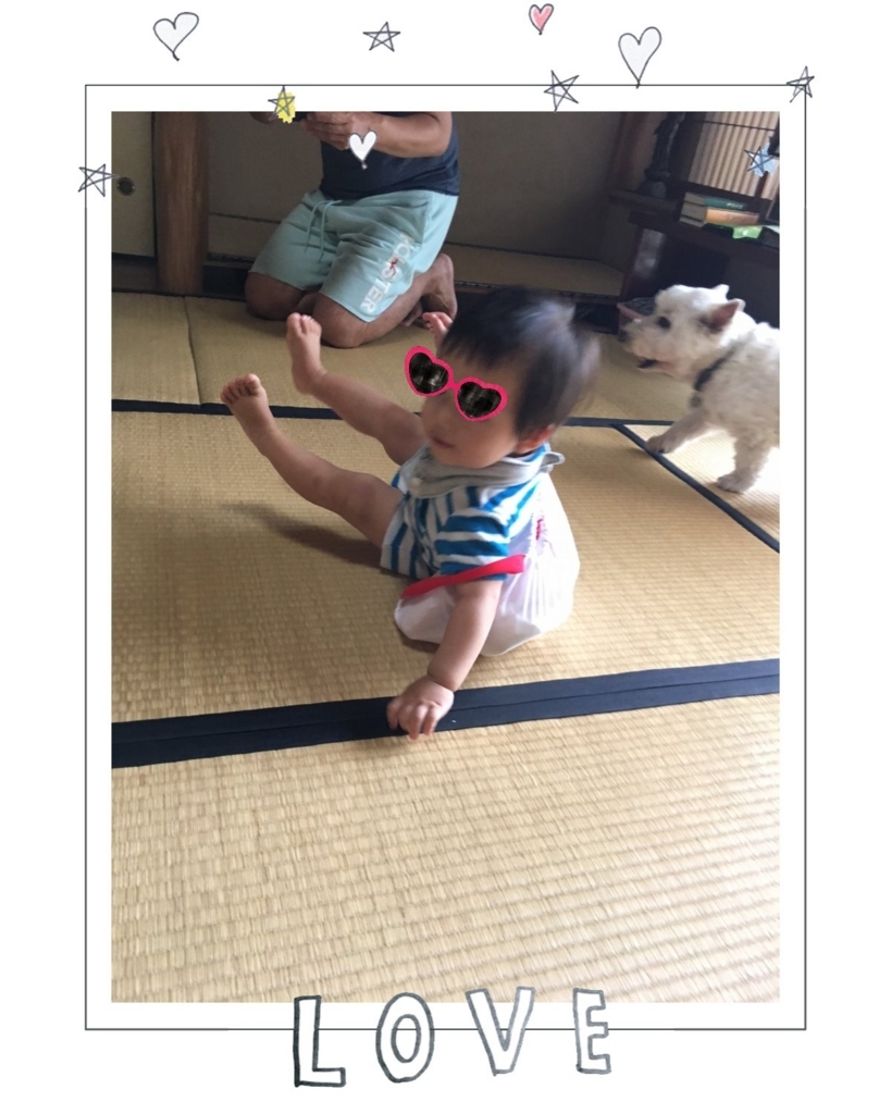 f:id:fuwafu-wanko:20170719135141j:plain f:id:fuwafu-wanko:20170719135141j:plain