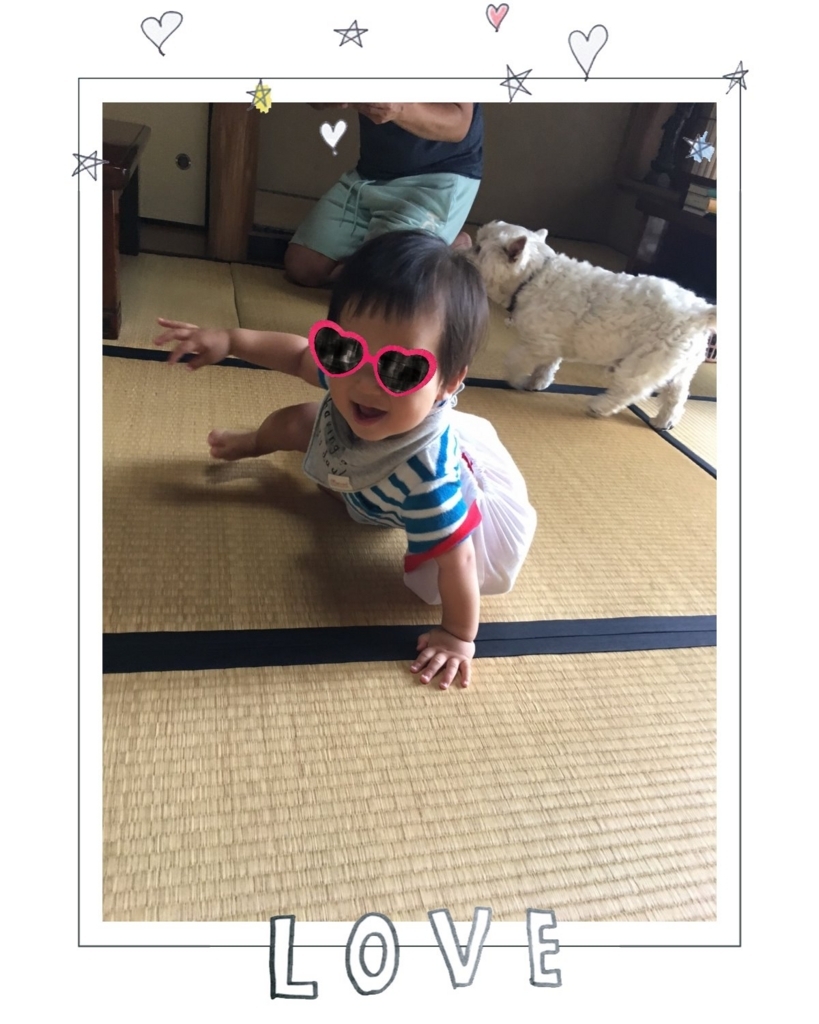f:id:fuwafu-wanko:20170719135244j:plain f:id:fuwafu-wanko:20170719135244j:plain