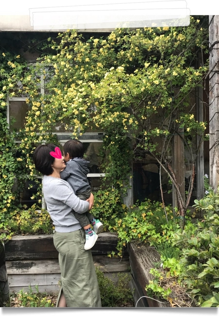 f:id:fuwafu-wanko:20180414162306j:plain f:id:fuwafu-wanko:20180414162306j:plain