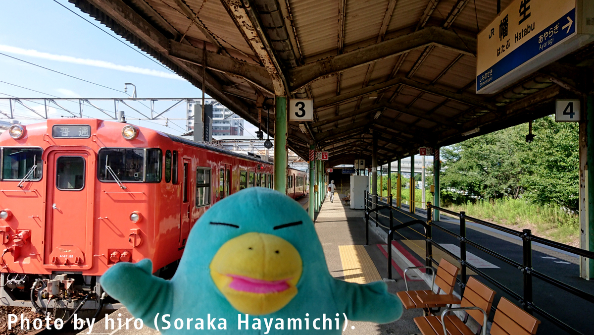 f:id:fuwafuwaame:20190730104946j:plain f:id:fuwafuwaame:20190730104946j:plain