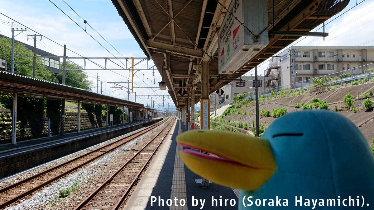 f:id:fuwafuwaame:20190814140117j:plain f:id:fuwafuwaame:20190814140117j:plain