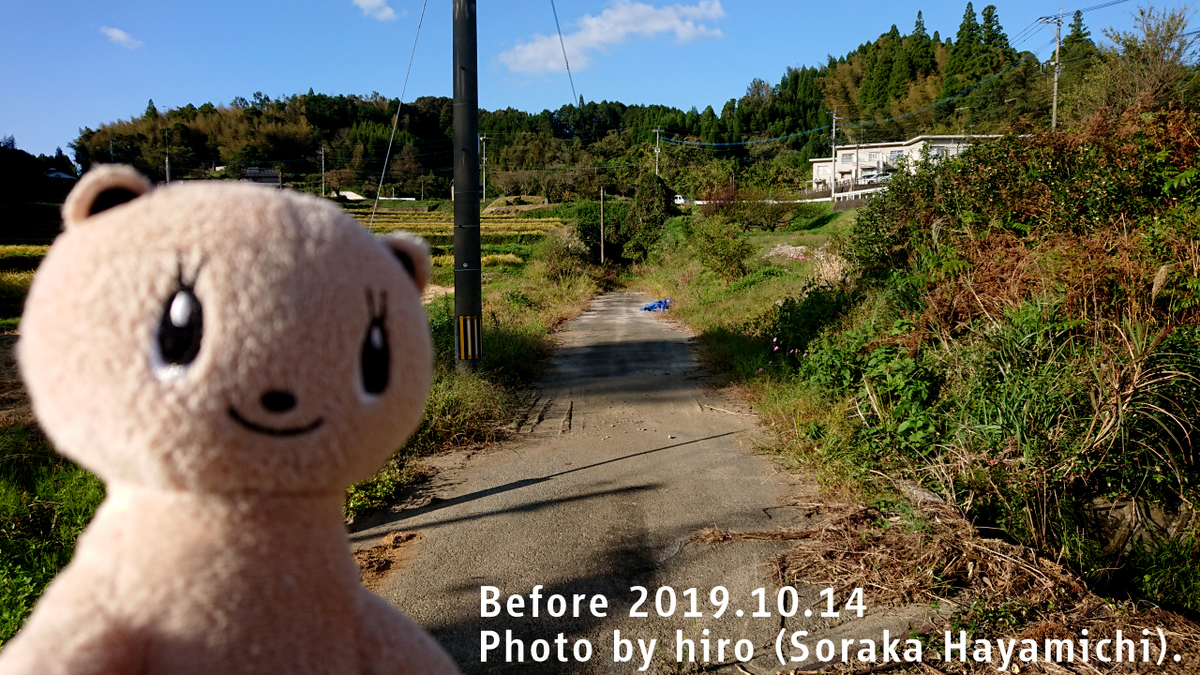 f:id:fuwafuwaame:20191210172848j:plain