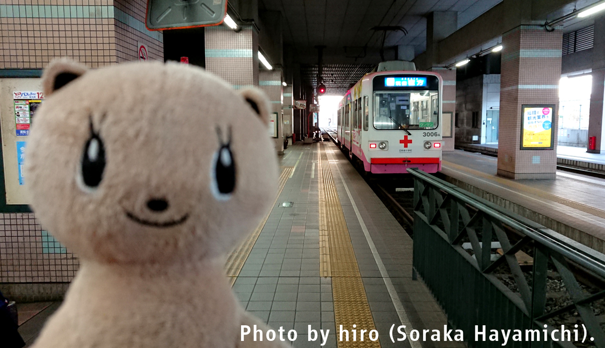 f:id:fuwafuwaame:20191229072031j:plain