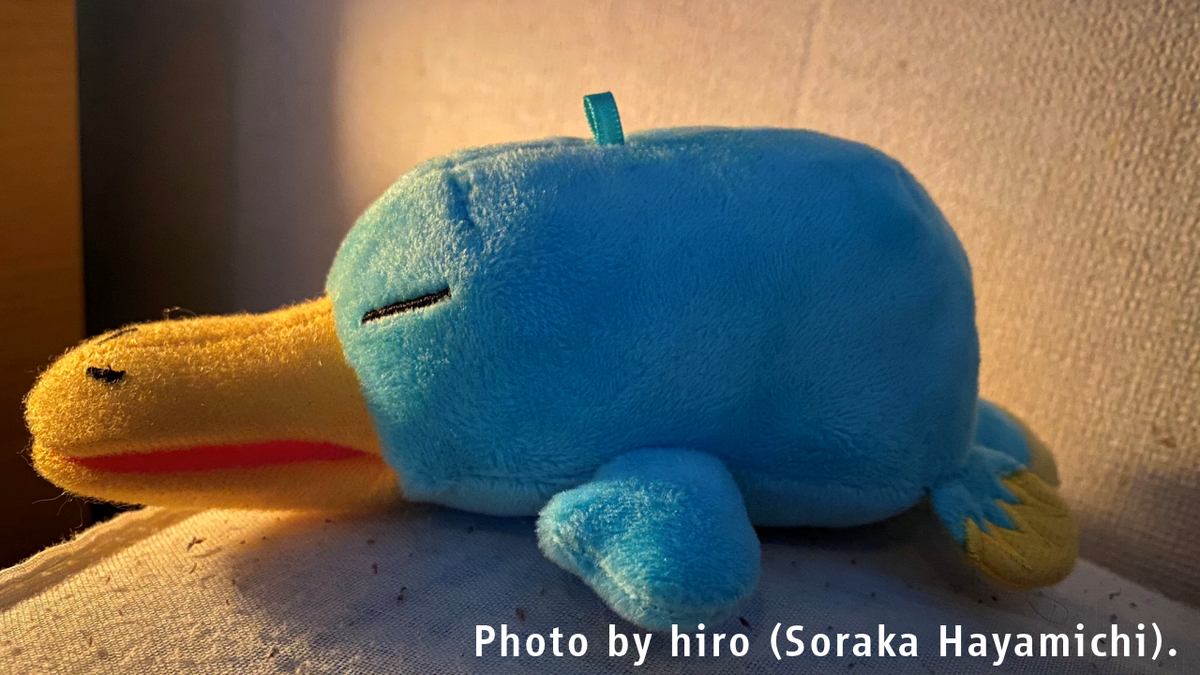 f:id:fuwafuwaame:20200213113020j:plain